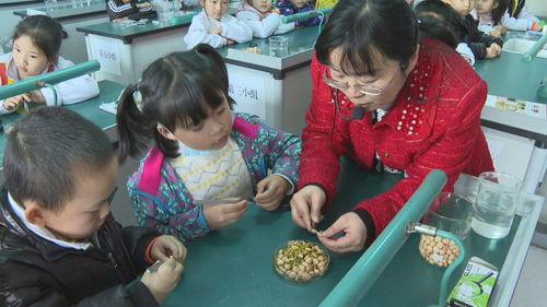 課后延時服務(wù) 以美術(shù)輔導(dǎo)破解“四點(diǎn)半難題”